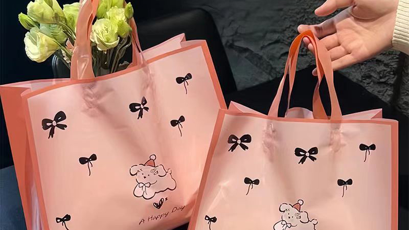 পুনঃব্যবহারযোগ্য শপিং ব্যাগের উত্থান